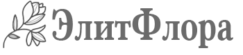 ЭлитФлора